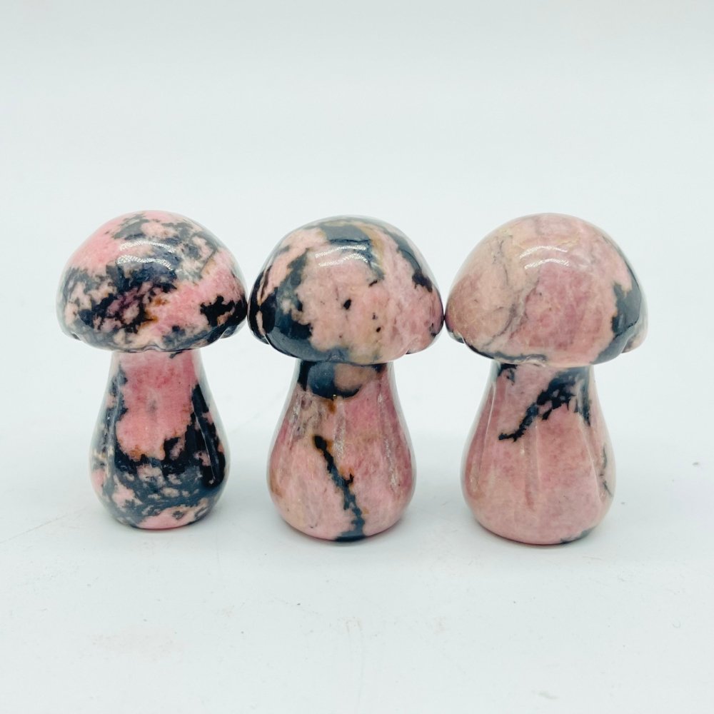 4 Types Mushroom Lepidolite & Rhodonite & Que Sera Wholesale -Wholesale Crystals