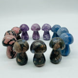 4 Types Mushroom Lepidolite & Rhodonite & Que Sera Wholesale -Wholesale Crystals