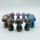 4 Types Mushroom Lepidolite & Rhodonite & Que Sera Wholesale -Wholesale Crystals