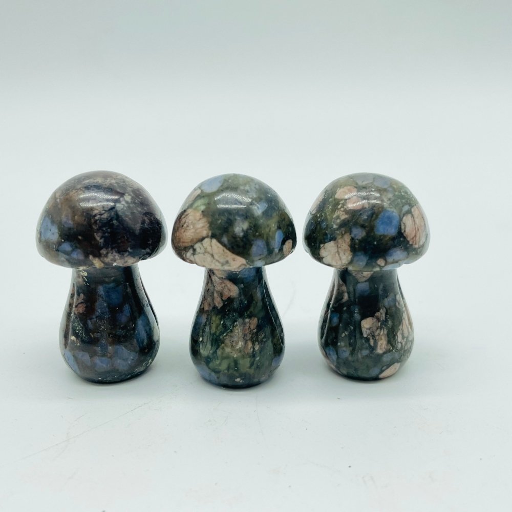 4 Types Mushroom Lepidolite & Rhodonite & Que Sera Wholesale -Wholesale Crystals