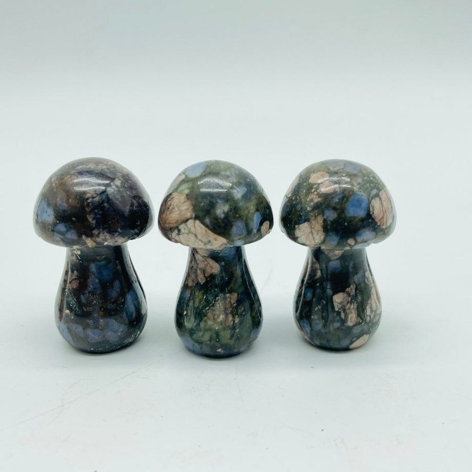Moon Fox Crystals