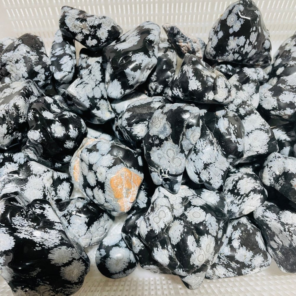 48 Pieces Polished Snowflake Obsidian Raw Free Form -Wholesale Crystals