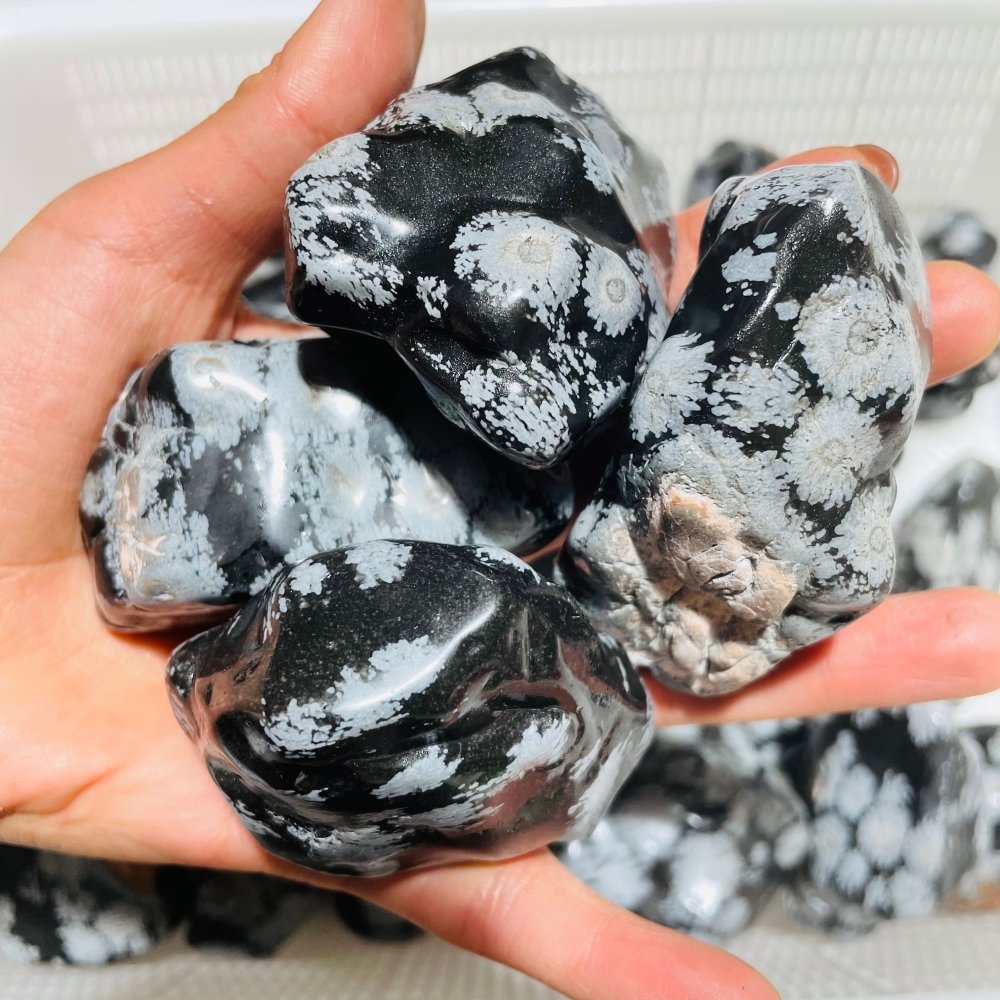 48 Pieces Polished Snowflake Obsidian Raw Free Form -Wholesale Crystals