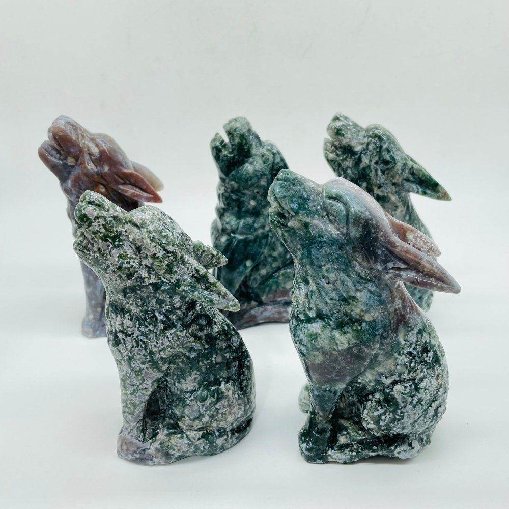 5 Pieces High Quality Large Ocean Jasper Wolf Carving -Wholesale Crystals