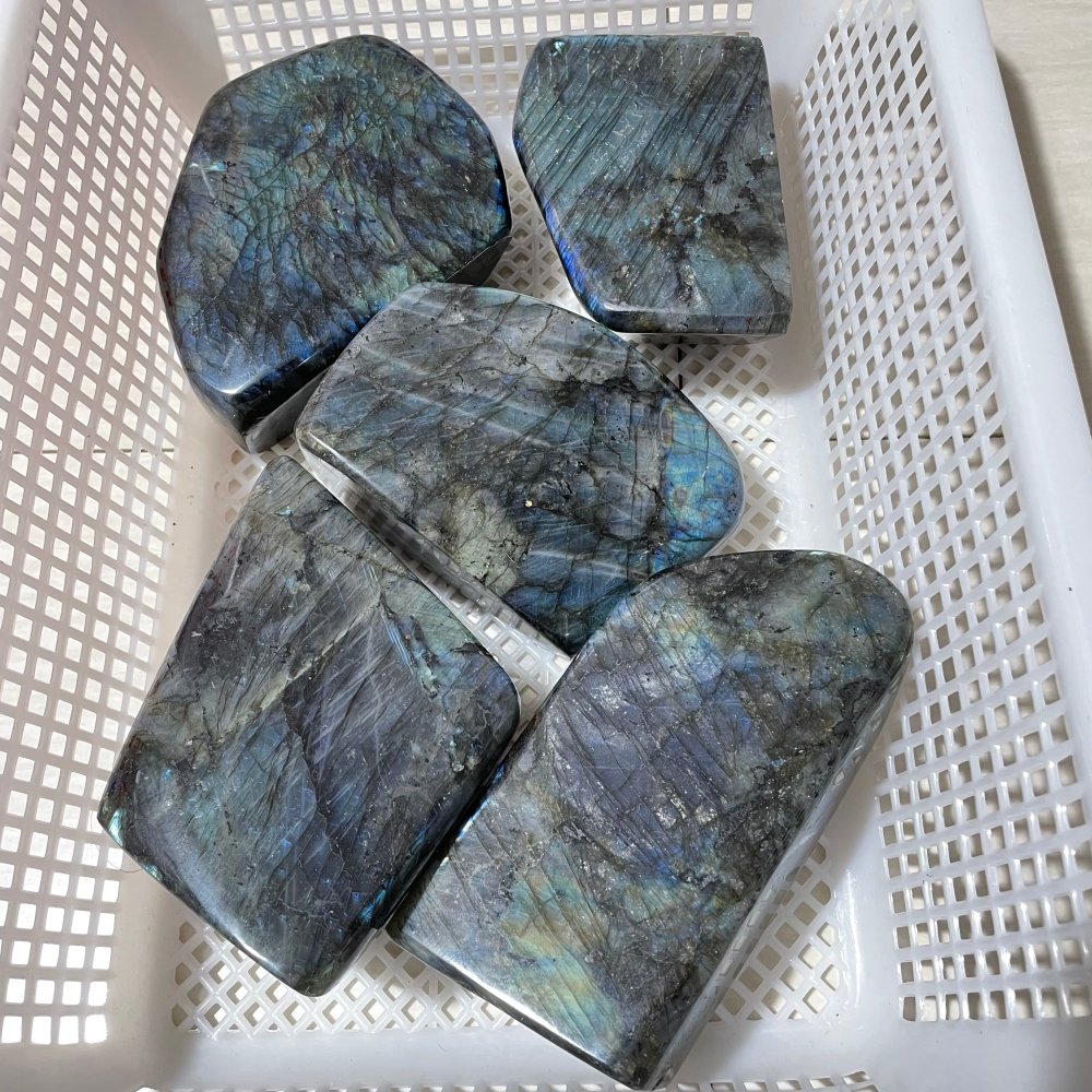 5 Pieces Large Labradorite Free Form -Wholesale Crystals