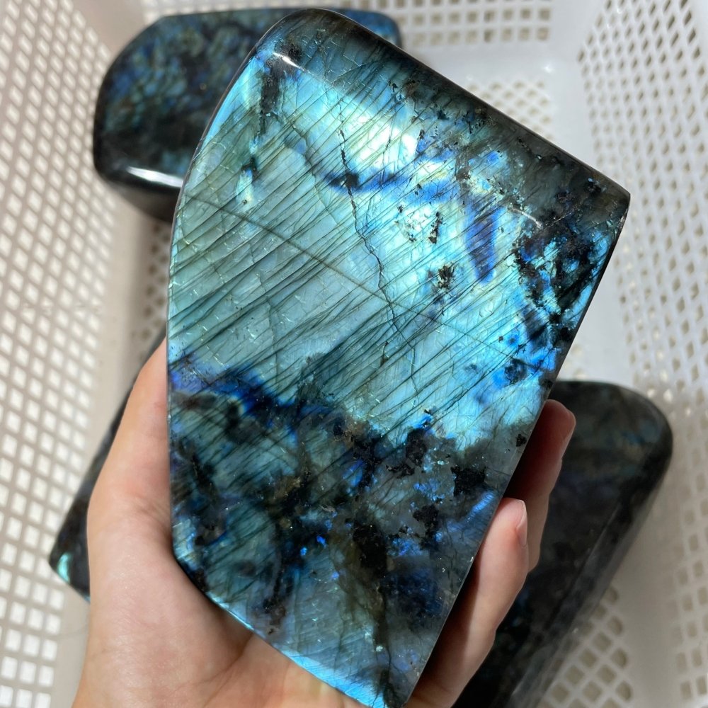 5 Pieces Large Labradorite Free Form -Wholesale Crystals