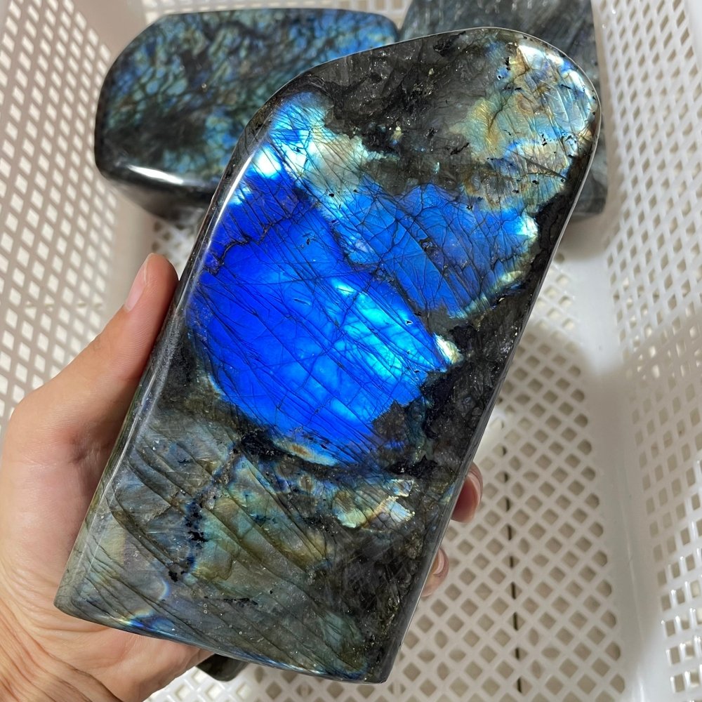 5 Pieces Large Labradorite Free Form -Wholesale Crystals