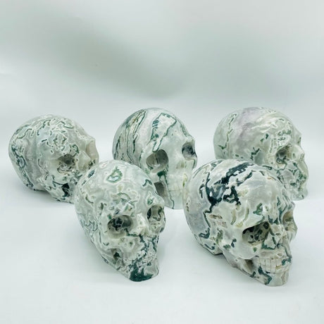 5 Pieces Large Moss Agate Skull Carving -Wholesale Crystals