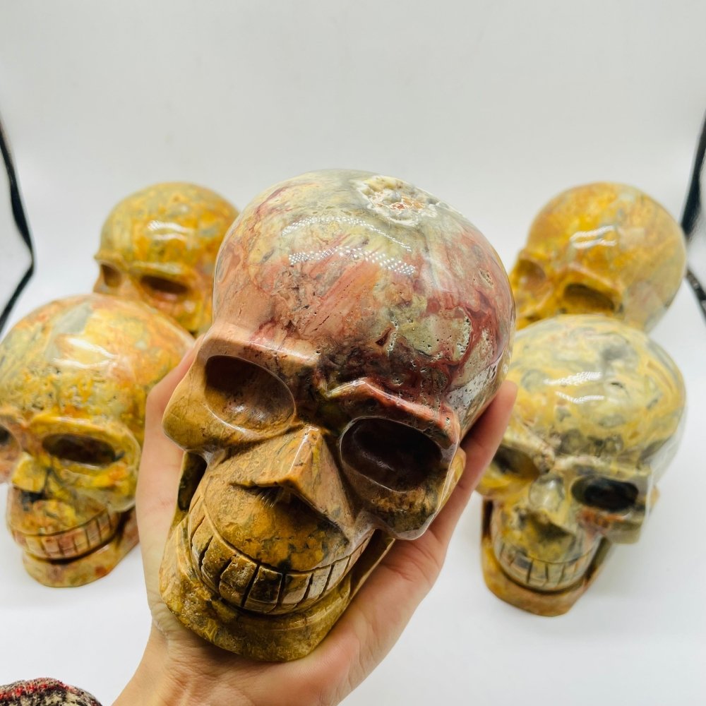 6 Pieces Crazy Agate Large Skull Carving -Wholesale Crystals