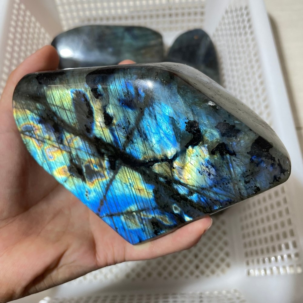 6 Pieces Large Labradorite Free Form High Quality -Wholesale Crystals