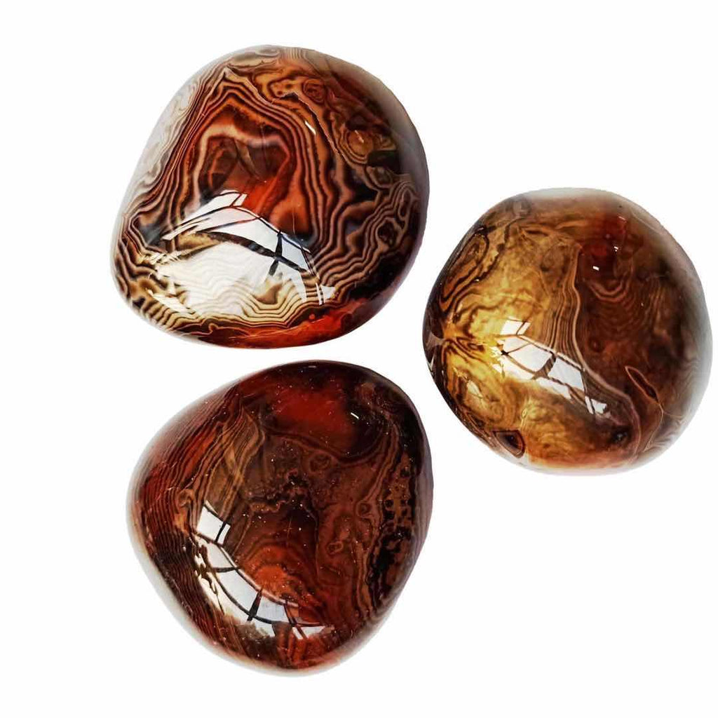Natural Silk Agate palm stone free form -Wholesale Crystals