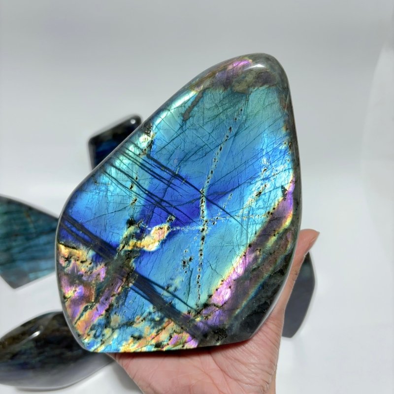7 Pieces Large High Quality Labradorite Free Form -Wholesale Crystals