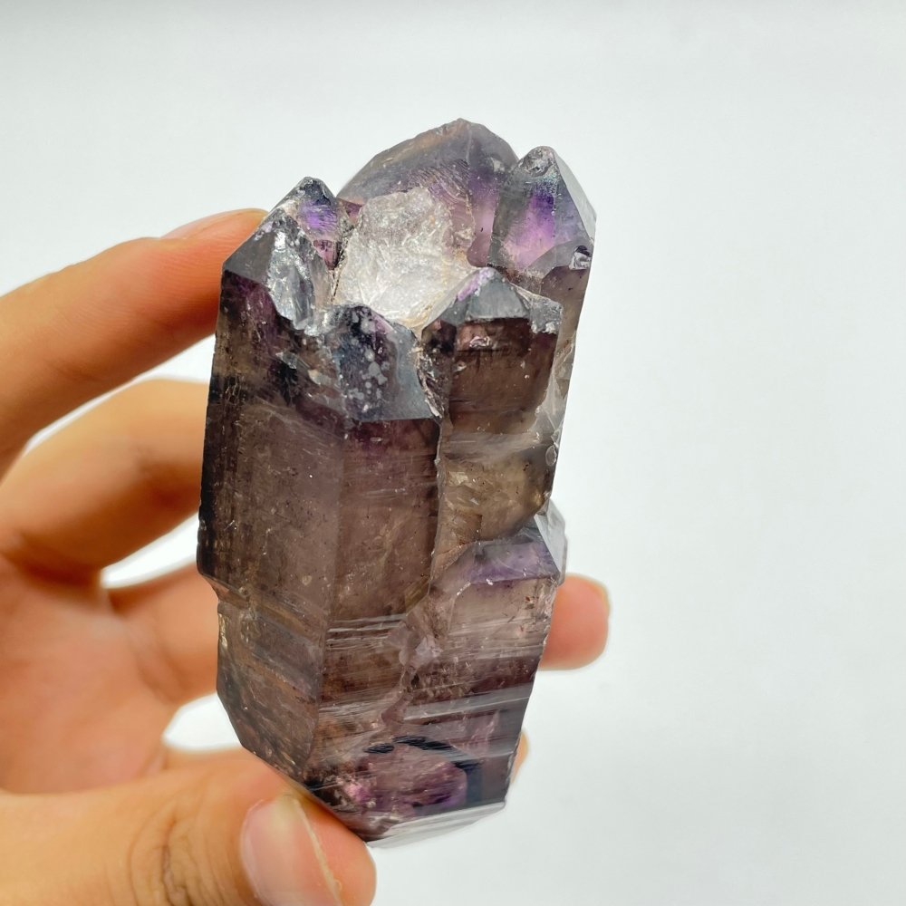 A05 Scepter Super7 Amethyst Enhydro Crystal -Wholesale Crystals