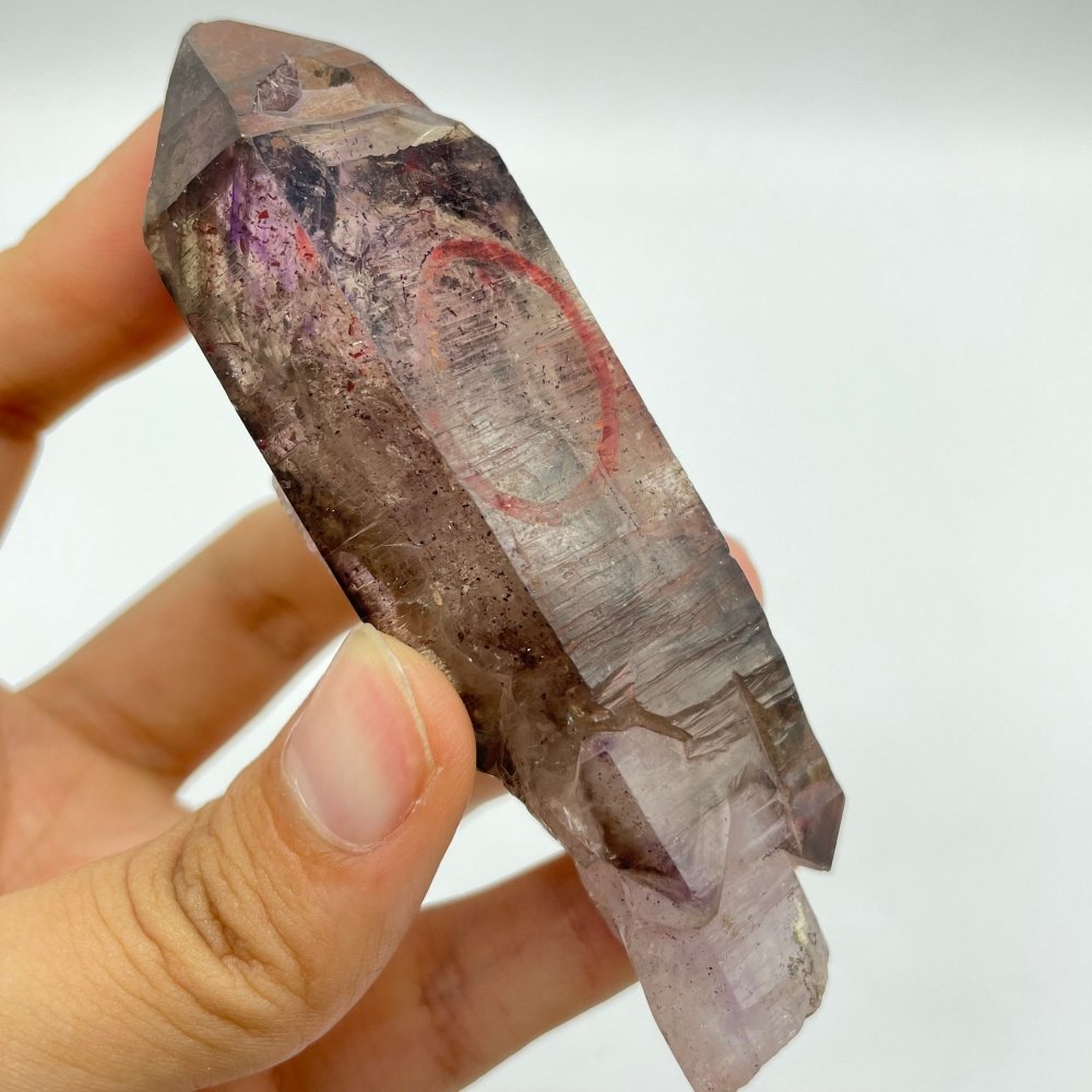 A20 Scepter Super7 Amethyst Enhydro Crystal -Wholesale Crystals