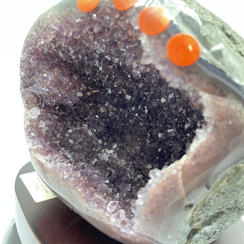 Brazil Amethyst Geode -Wholesale Crystals
