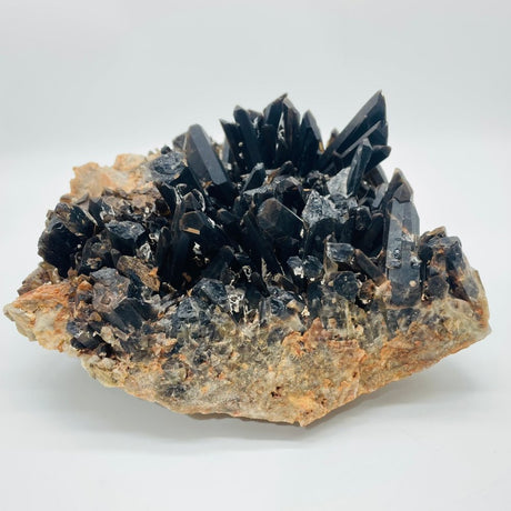 Deep Color Large Smoky Quartz Cluster -Wholesale Crystals