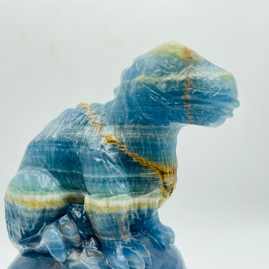 High Quality Blue Onyx Dinosaur Skull Carving