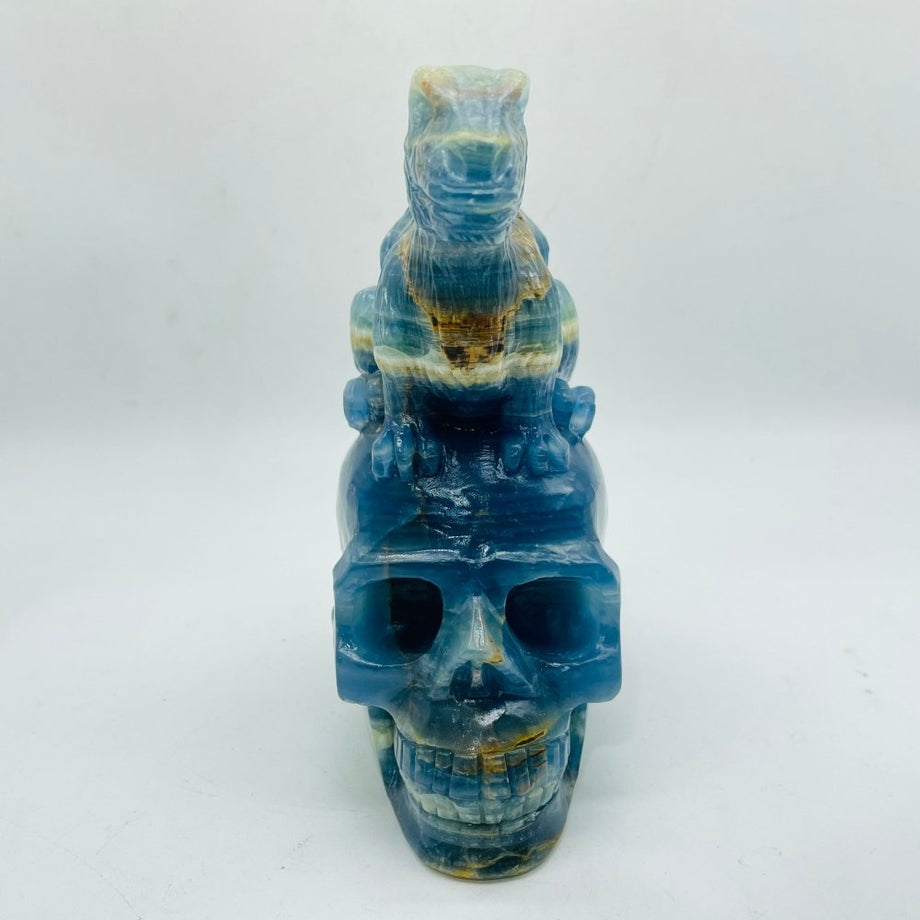 High Quality Blue Onyx Dinosaur Skull Carving