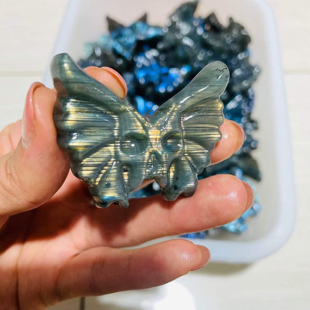High Quality Labradorite Butterfly Skull Carving Wholesale -Wholesale Crystals