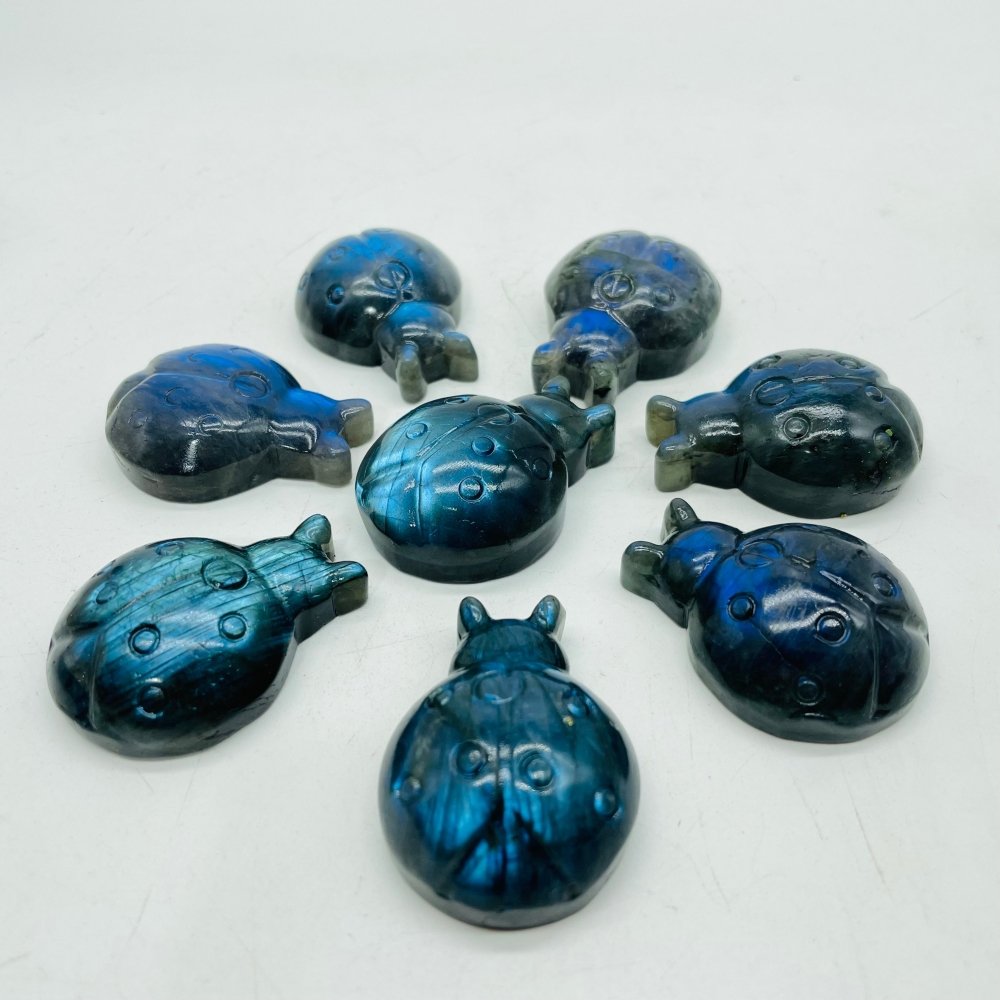 High Quality Labradorite Ladybug Carving Wholesale -Wholesale Crystals