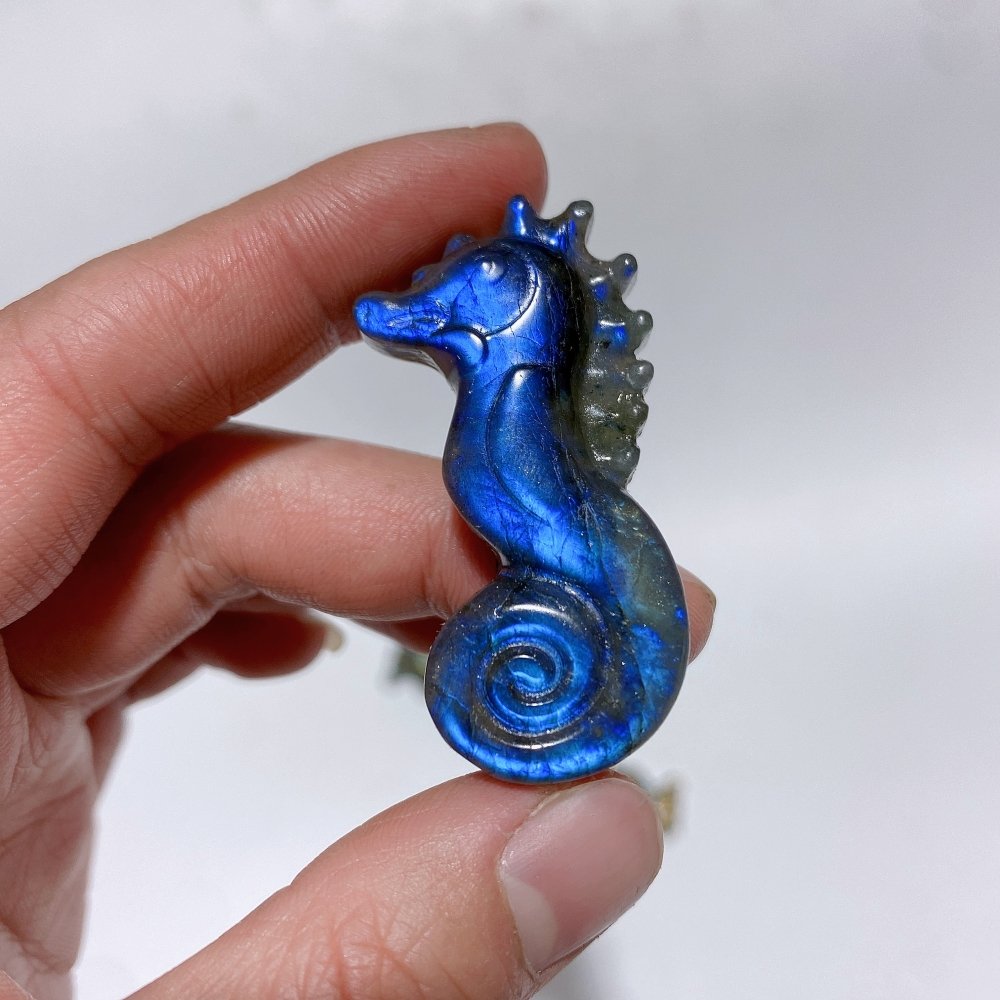 High Quality Labradorite Seahorse Carving Wholesale -Wholesale Crystals