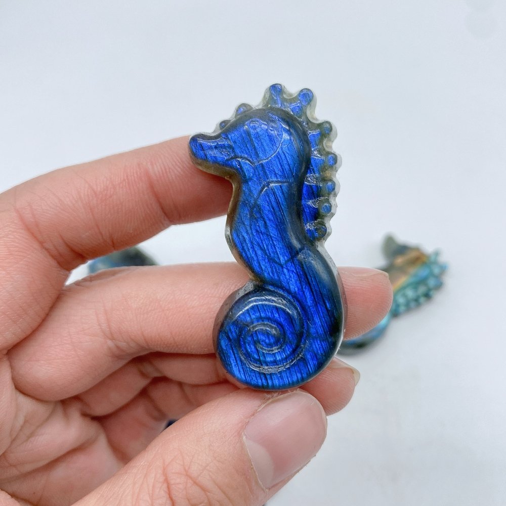 High Quality Labradorite Seahorse Carving Wholesale -Wholesale Crystals