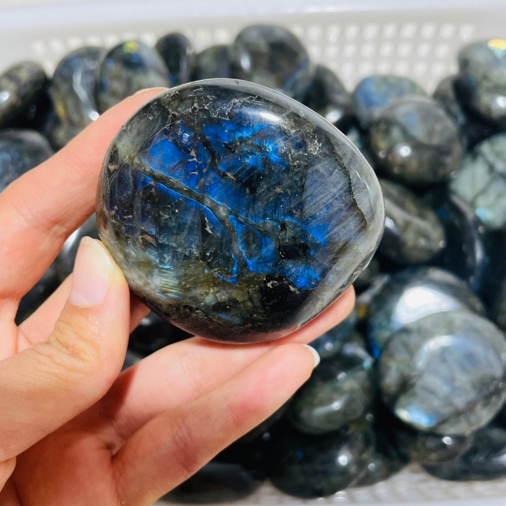 Normal Quality Labradorite Palm Closeout -Wholesale Crystals
