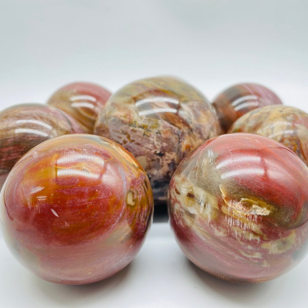 Petrified Wood Sphere Ball Wholesale -Wholesale Crystals