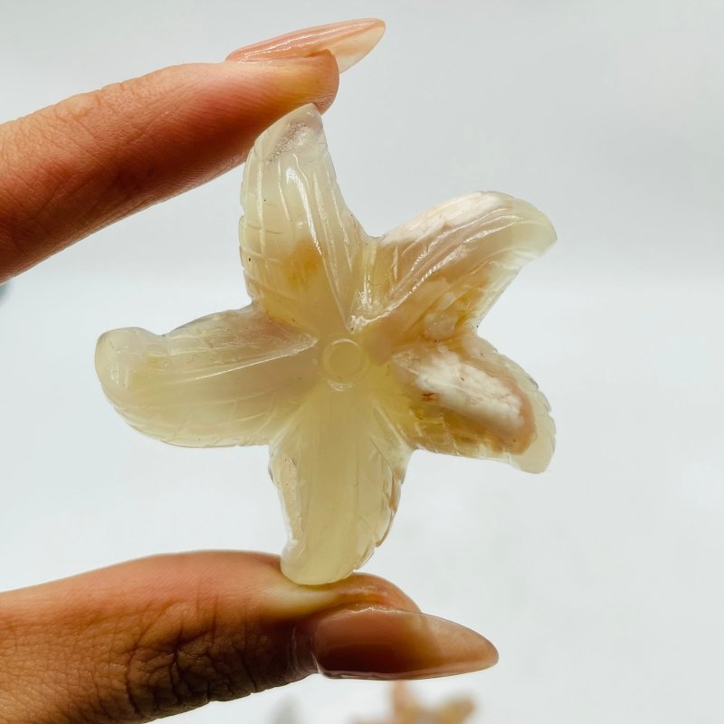 Sakura Flower Agate Starfish Carving Wholesale -Wholesale Crystals